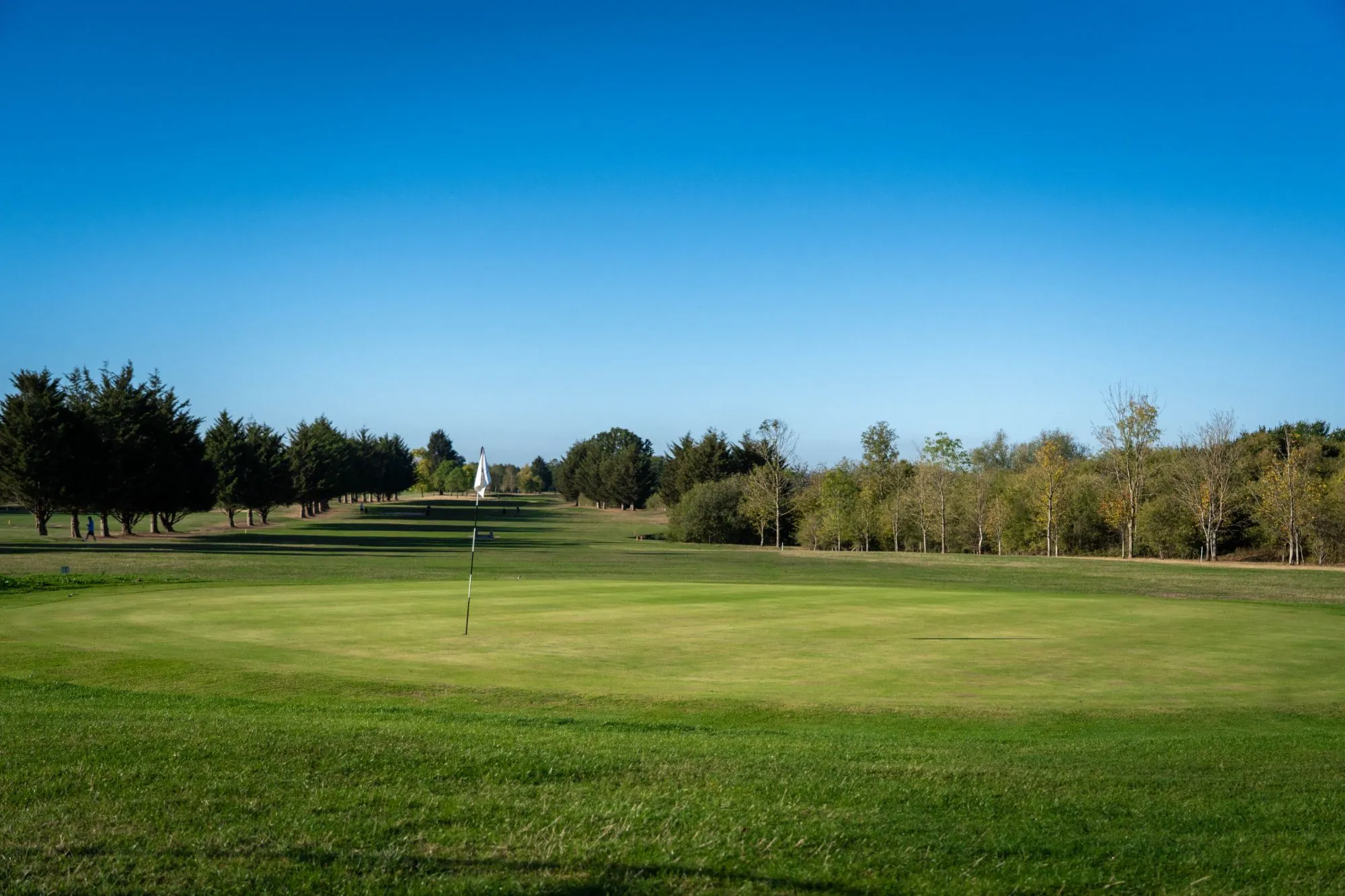 A green with a white flag under a clear blue sky, the fairway lined with conifers behind